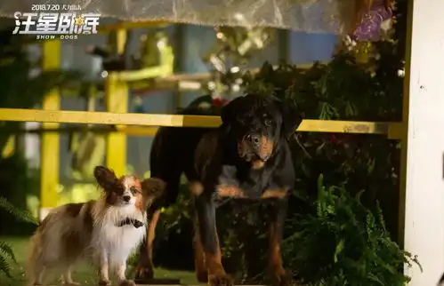 汪星卧底家长请在未成年人陪伴下看爱狗爱宠人士必看
