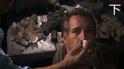 囚犯3次越狱成功,成为犯人心中的神,最终命丧黄泉没能摆脱命运

