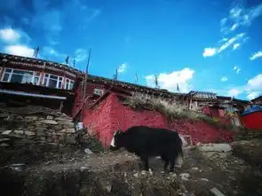 行在川西

