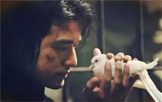陕西智翔
