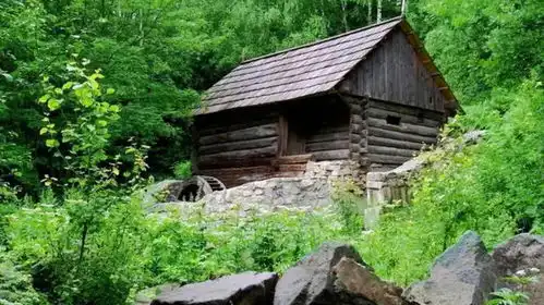 去俄罗斯旅游,看到森林的小木屋别靠近,进去再也出不来了
