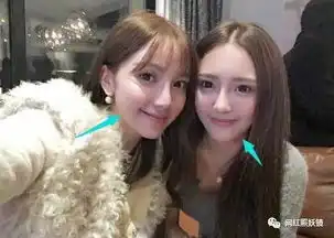 谁给你们的勇气和明星合影
