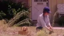怦然心动,依旧是我喜欢的男孩
