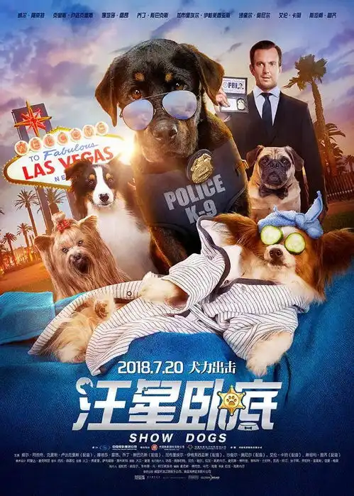 摩天营救神奇马戏团之动物饼干汪星卧底淘气大侦探一大波好片来啦
