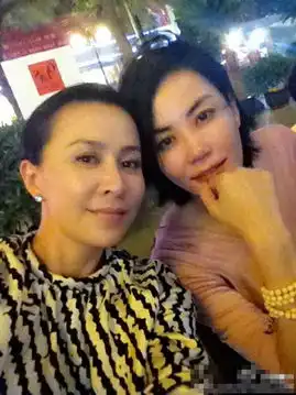 徐静蕾自曝李冰冰舒淇是圈中好友明星圈中好友大揭秘
