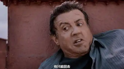 史泰龙与施瓦辛格联手演义越狱风云
