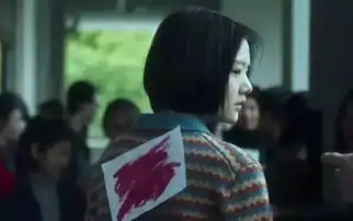 校园欺凌逐渐被毁掉的少年的你
