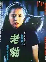 老猫
