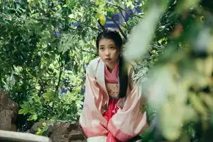 如何评价韩剧步步惊心丽
