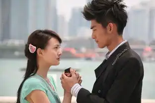 谁有一起来看流星雨的演员剧照要全的
