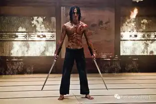 这些不会在电影院上映的硬片,绝对有料
