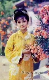 薛宝钗天生好老婆
