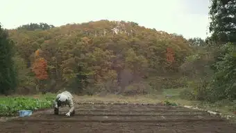 演员表上映时间剧情介绍预告片剧照海报百田电影大全
