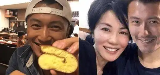 王菲称不认识张柏芝,张柏芝16字霸气回怼,网友她不是吃素的