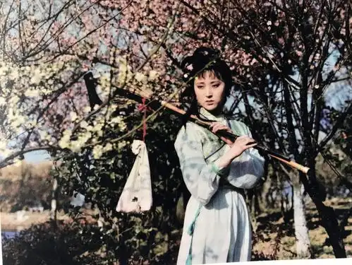 1987年陈晓旭欧阳奋强主演央视版电视剧红楼梦剧照欣赏
