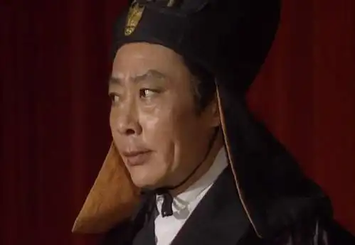 诸葛瞻为什么不除掉大奸臣黄皓可能不是因为姜维,而是另有原因
