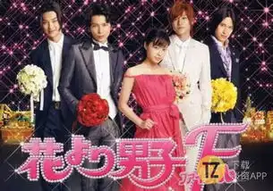 no.136流星花园又要翻拍就不能保留那份杀马特感吗

