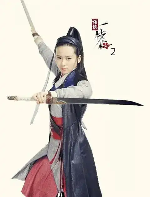 怪侠一枝梅2

