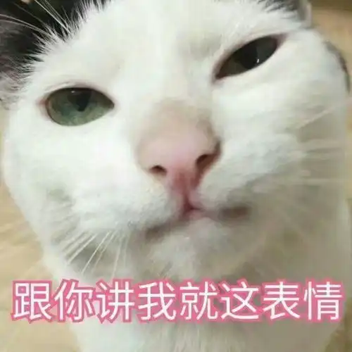 爱你的可爱表情包猫咪