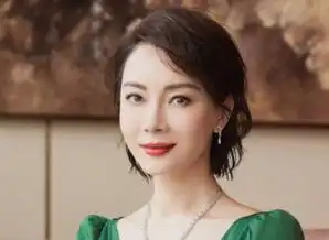 她与黄磊是密友,结婚8年仍丁克,今42岁的她和继子亲如母子