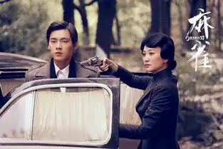 它能不能成为下一个伪装者,就得看他俩能否超过胡歌和王凯了
