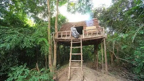 女孩定居丛林深山,一手建造本领绝了,建造出了悬空小木屋

