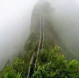 美国夏威夷瓦胡岛,通往天国的阶梯

