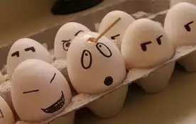 创意和有趣的蛋鸡表情