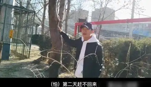 王宝强跑龙套时旧照,曾在清宫戏当群演,为冯小刚的电影露宿街头

