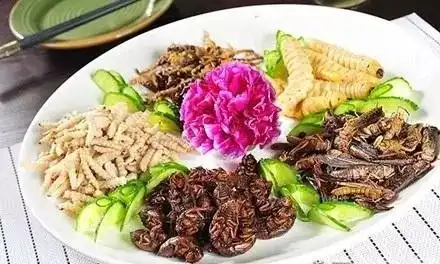 云南人吃蜂蛹蝎子蜈蚣......但是蟋蟀你吃过吗这个网红零食来昆明啦
