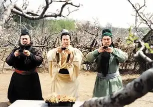 军师联盟不合史实你可知三国演义改了多少历史
