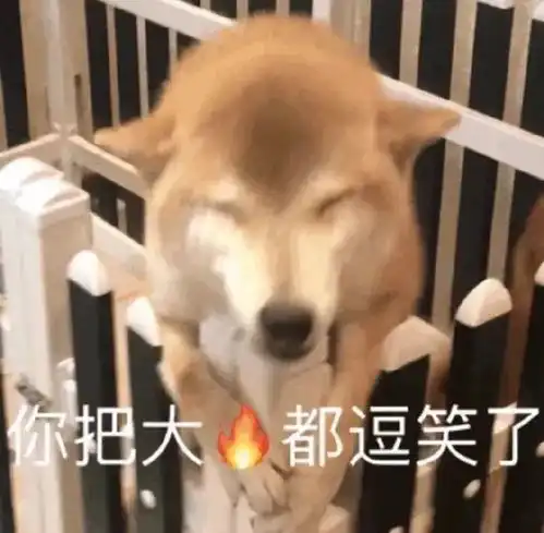 单身狗七夕节表情包开心
