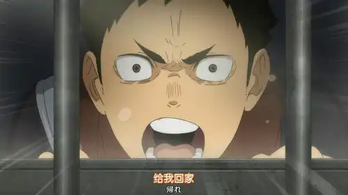 排球少年tothetop第二季
