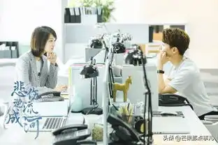 电视剧悲伤逆流成河即将湖南卫视上星独播
