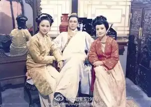 回忆杀红楼梦珍藏剧照,载满了30年的记忆