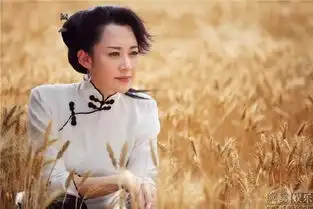 妈妈像花儿一样那些年许晴演过的电视剧你看过几部
