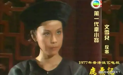 鹿鼎记9版韦小宝比拼梁朝伟帅气,黄晓明梦游,张一山耍猴
