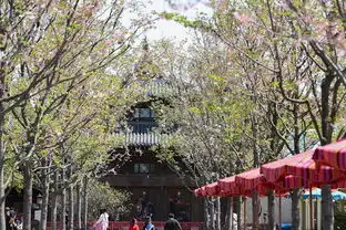 错过春日昙花,都市里还有小森林郊游去哪上海篇
