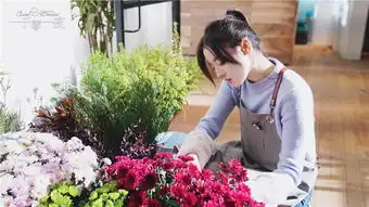 一千零一夜花样夫妇斩恶龙热巴初遇邓伦