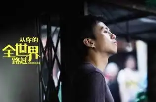 从你的全世界路过有感
