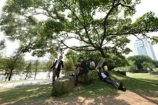 我想要一起来看流星雨的剧照,要50张,不重复的,好看的

