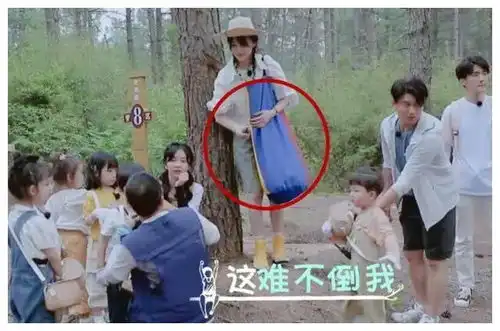奇妙小森林郑爽郊游拎大包,看清放的啥,网友她竟是这种人
