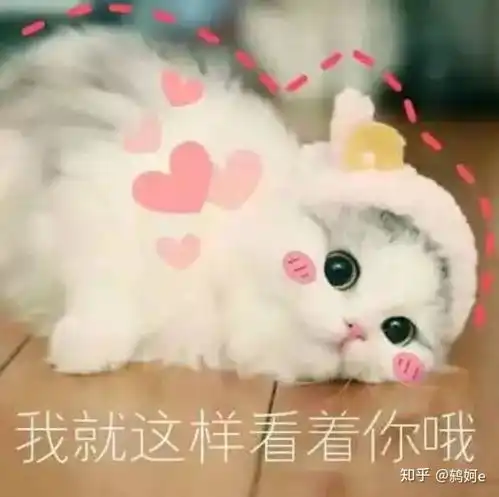 我把voscreen里的视频刷完了
