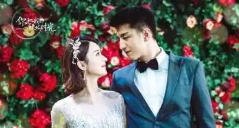 网友赞倾城时光林浅厉致诚婚纱照,期待赵丽颖婚纱照更美
