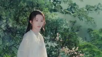 一个明星的诞生
