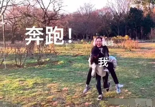 无标题
