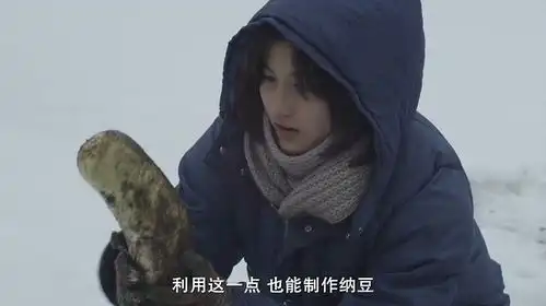 小森林冬春篇