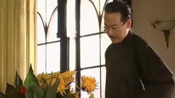 金粉世家三姨娘嫌老爷老了,老爷不服输2
