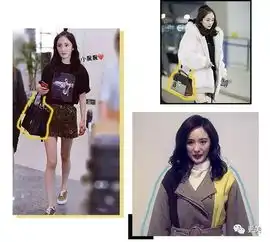 赵薇上亿庄园,范冰冰交了9亿,她们到底怎么挣的钱
