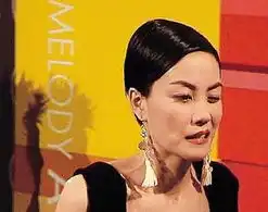 王菲长猪鼻子天后雷人照天雷滚滚